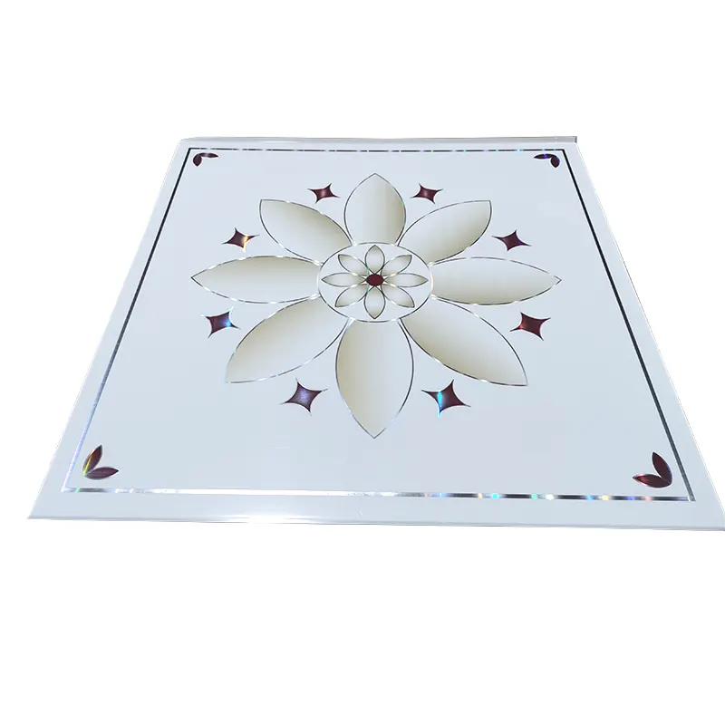 Drop Ceiling Tiles 2*4